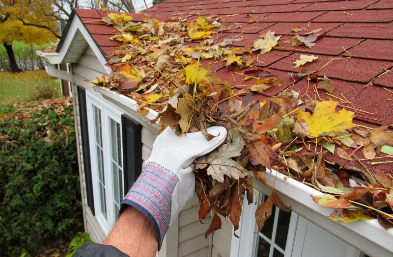 Gutter Maintenance