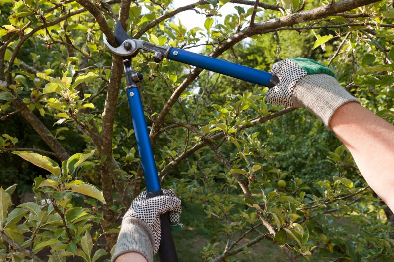 Arborist with Pruning Tools